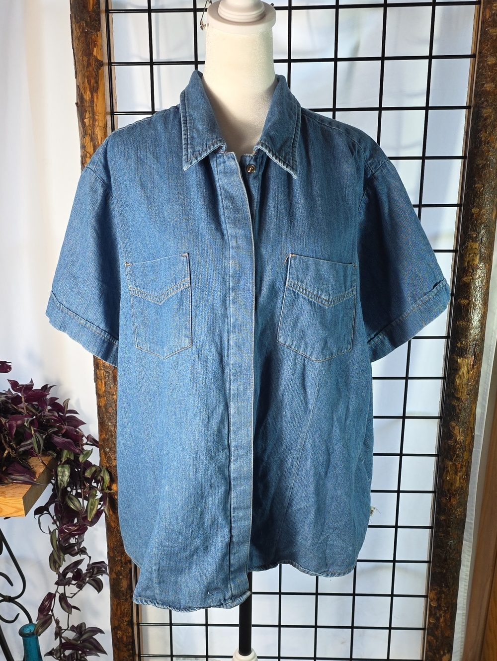 Route 66 Women's Short-Sleeve Denim Button-Down Shirt in Blue